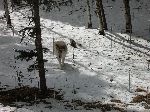 002_2009-0214-1224-07-JoeA.jpg